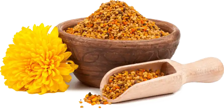 Bee Polen