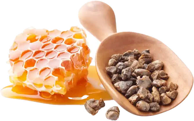 Propolis