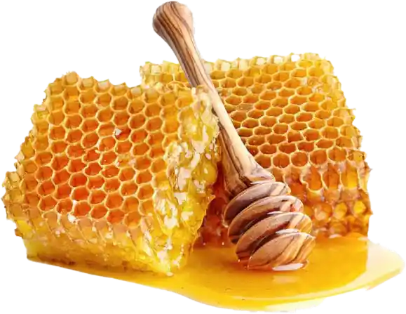 Raw Wildflower Honey
